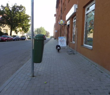 Nové odpadkové koše