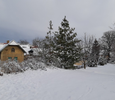 Současné fotografie